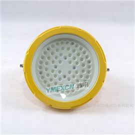 YMD97100WAC220V免维护防爆LED灯ExdIIBT4/6